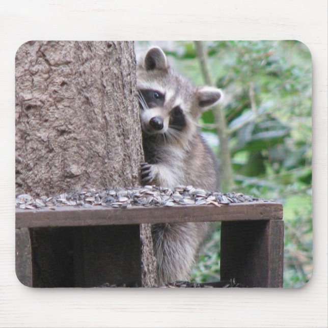 Blyg Raccoon Mousepad Musmatta (Framsidan)