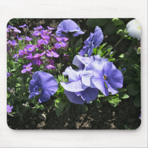 Blyga purpurfärgade Pansies Musmatta