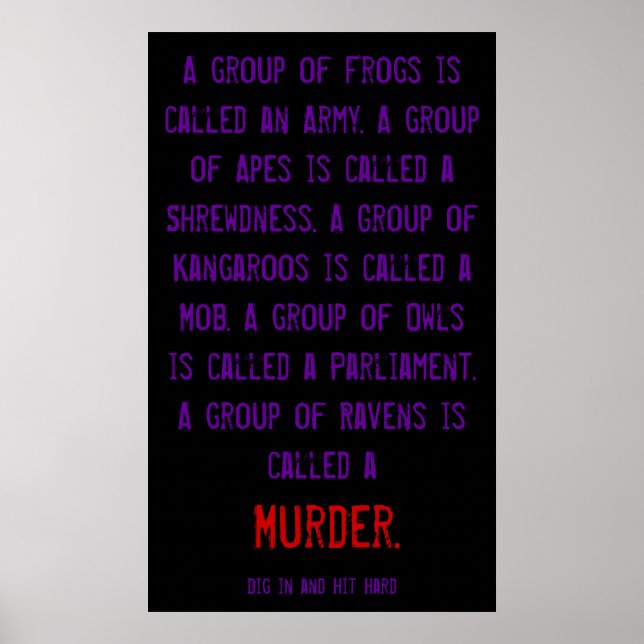 BMORE RAVENS POSTER (Framsidan)