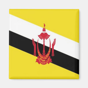 BN - Brunei - Flagga Magnet