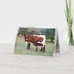 Bnelane-Z61, Bon&Bel7896-Z, Lycklig, Birthday, H.. Kort