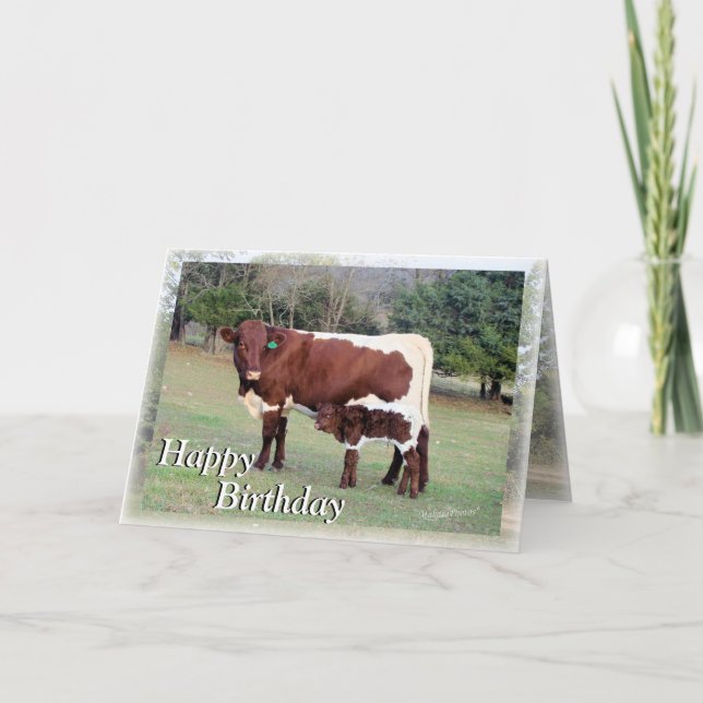 Bnelane-Z61, Bon&Bel7896-Z, Lycklig, Birthday, H.. Kort (Framsida)