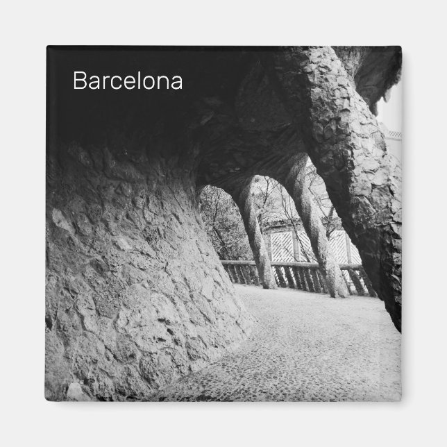 Bnw colonnad of Park Guell Magnet (Framsidan)