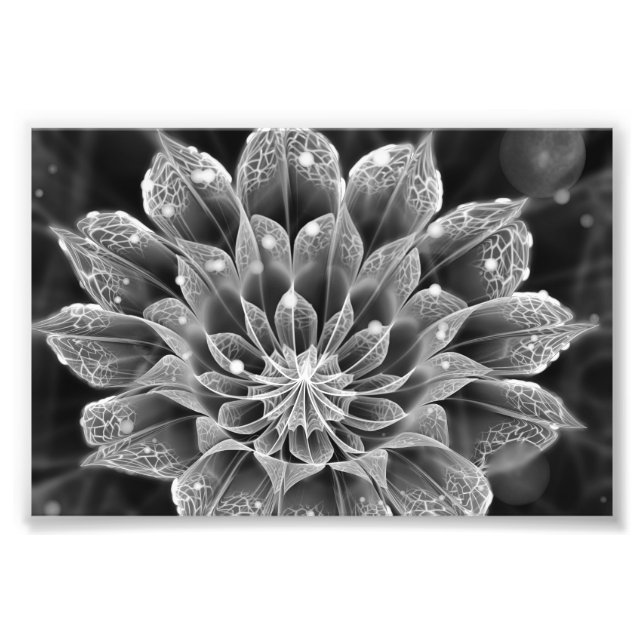 BnW Fractal Dahlia Flower via Electron Microscope Fototryck (Framsidan)