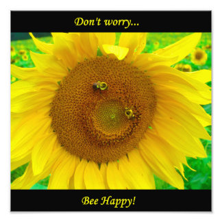 BO1050 12x12 Fototryck