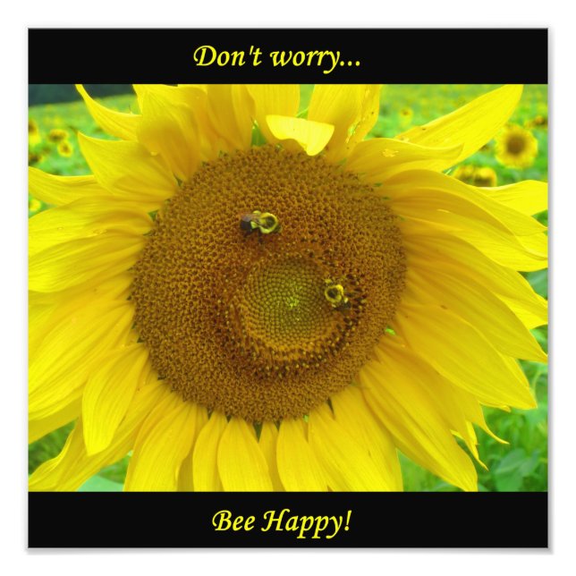 BO1050 12x12 Fototryck (Framsidan)