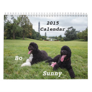 Bo 2015 och solig kalender