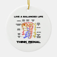 Bo allsidig en Renal livtänka (Nephron)