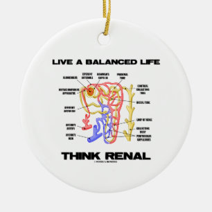 Bo allsidig en Renal livtänka (Nephron) Julgransprydnad Keramik