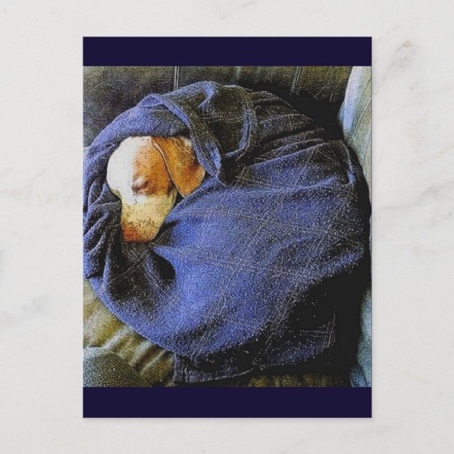 Bo Boll Vykort (Framsida)