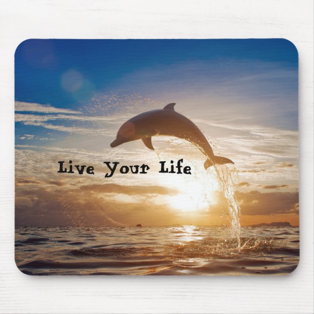 Bo din livmotivation musmatta (Framsidan)