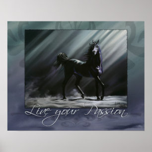 Bo din passion poster