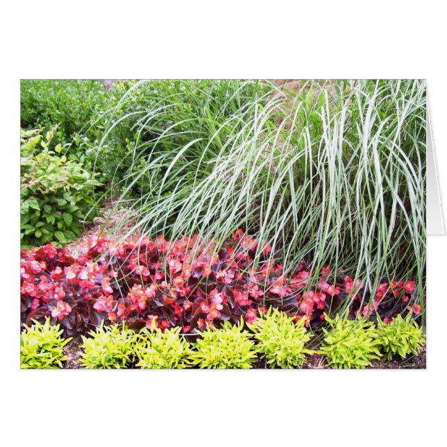 Bo förbigår blommor kortet hälsningskort (Framsidan Horizontal)