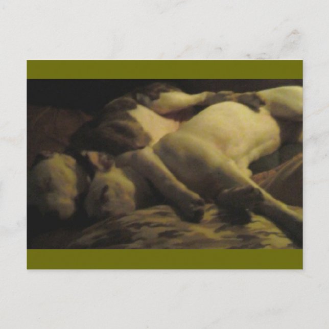 bo i ett hypofyscentrum vykort (Framsida)