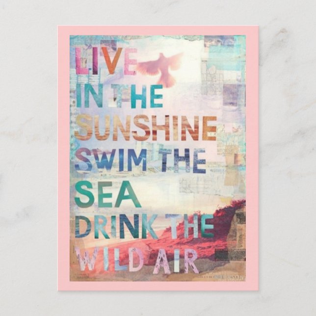 Bo i solskenet vykort (Framsida)