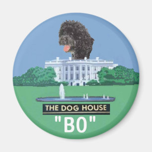 BO magnet