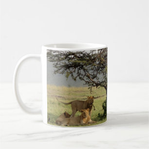 Bo med lejonmuggen med ut ur afrikacitationstecken kaffemugg