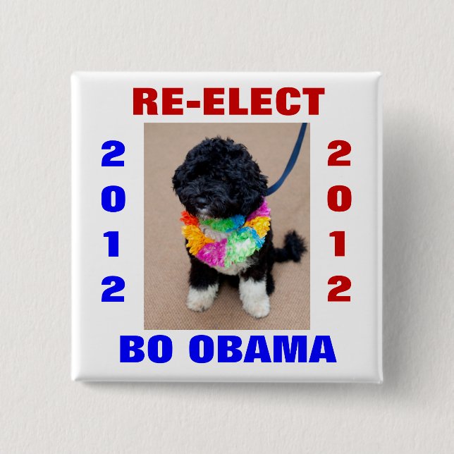 BO OBAMA 2012 KNAPP (Framsida)