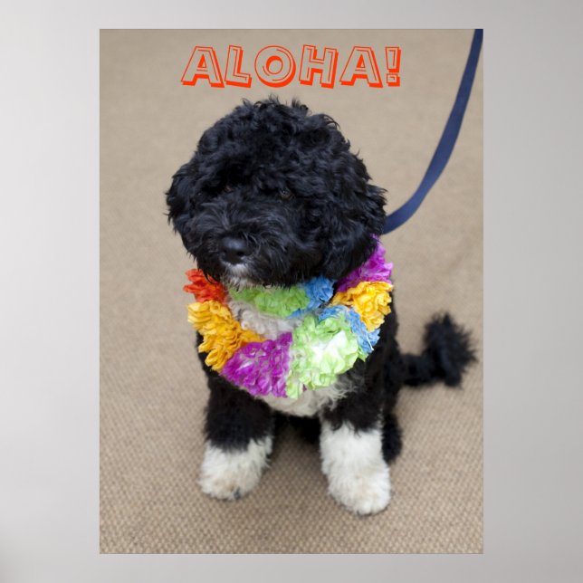 Bo Obama - Aloha Poster (Framsidan)