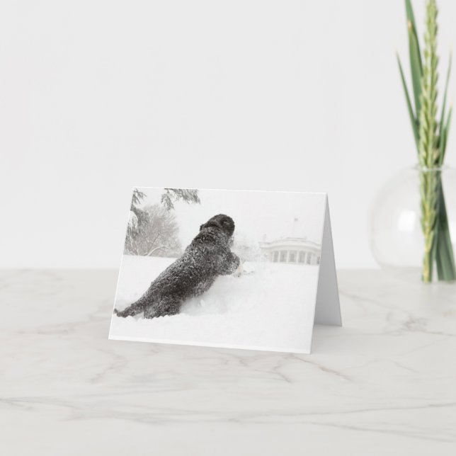 Bo Obama-anteckningskort - Sydobund Kort (Framsida)