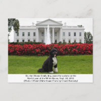 Bo- - Obama Family hund-vykort