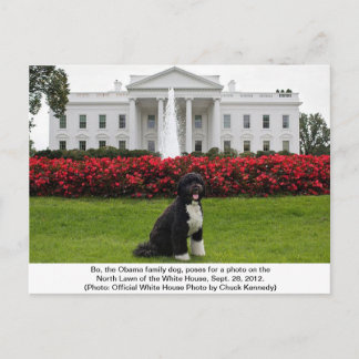 Bo- - Obama Family hund-vykort Vykort