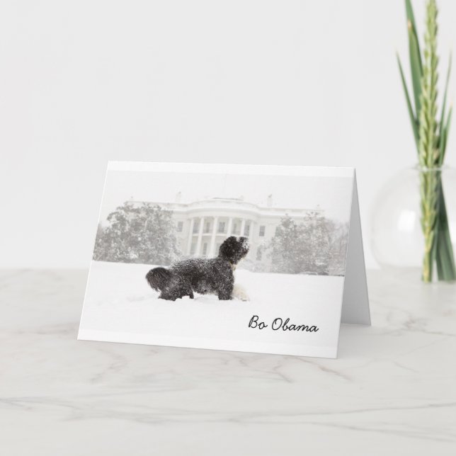 Bo Obama i Snö Kort (Framsida)