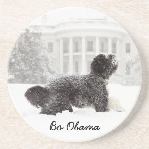 Bo Obama Underlägg Sandsten