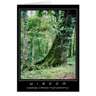 Bo och lär hälsningskort