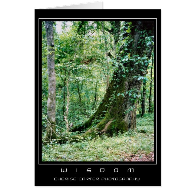 Bo och lär hälsningskort (Framsidan)