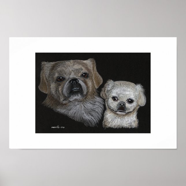 Bo & Sissy Poster (Framsidan)