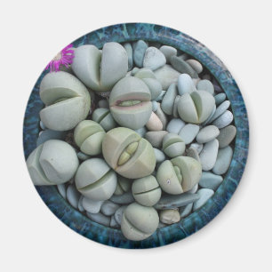 Bo stenmagneten magnet