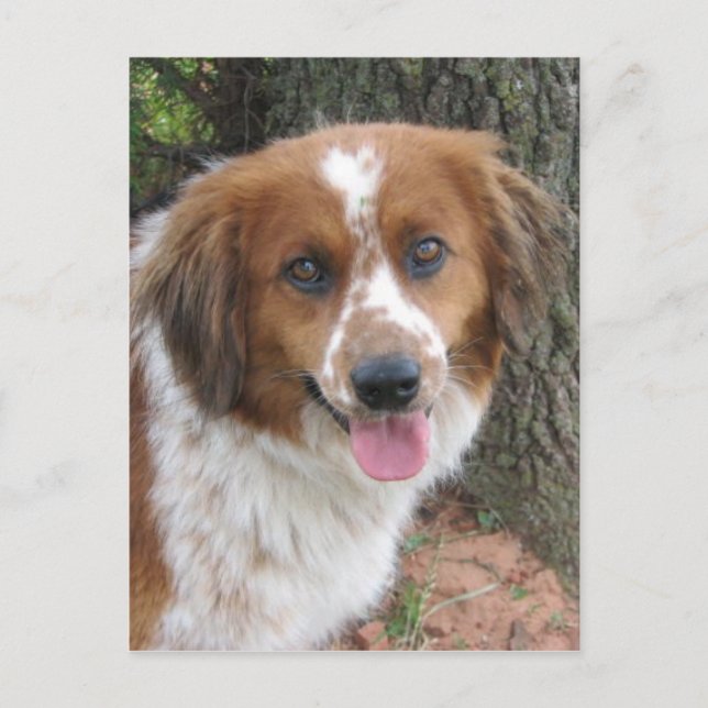 Bo Vykort (Framsida)