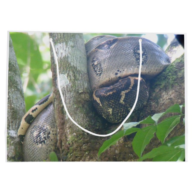 Boa Constrictor Presentpåse (Baksidan)