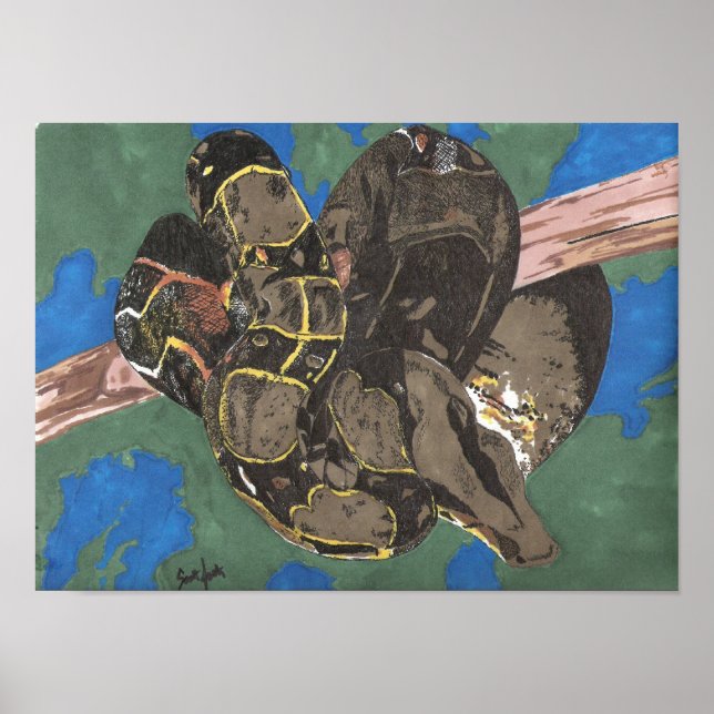 Boa Constritor Poster (Framsidan)