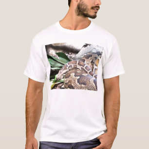 Boa-konstriktor Tee