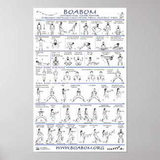 Boabom: Försvarsinsatser från det antika Tibet Poster