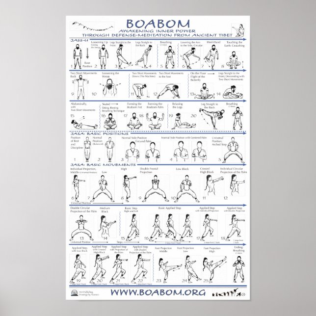 Boabom: Försvarsinsatser från det antika Tibet Poster (Framsidan)