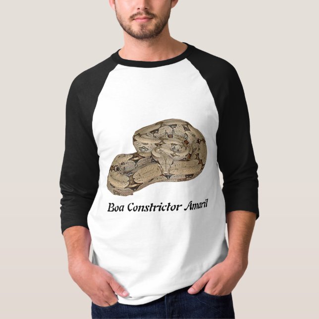 BoaConstrictor Amaril 3/4 sleeveRaglan Tee (Framsida)
