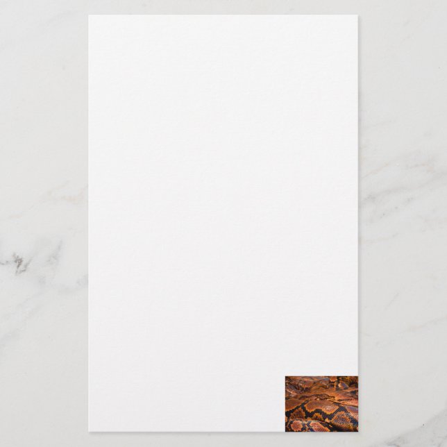 BoaConstrictor Brevpapper (Framsida)