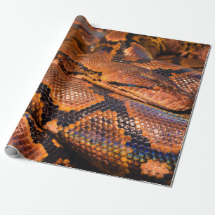 BoaConstrictor Presentpapper