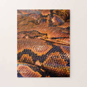 BoaConstrictor Pussel