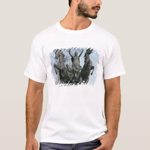 Boadicea 1850s (brons) (se också 33580), t-shirt