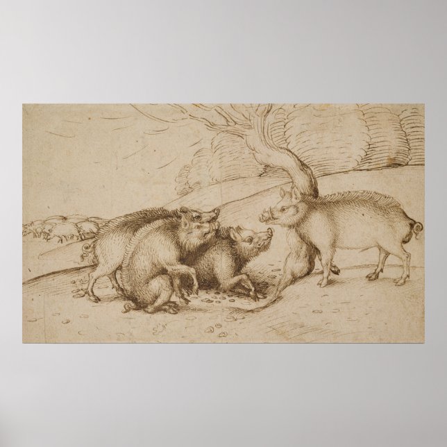 Boar-familjen Poster (Framsidan)