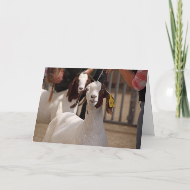 Boar Goat Show Kort (Framsida)
