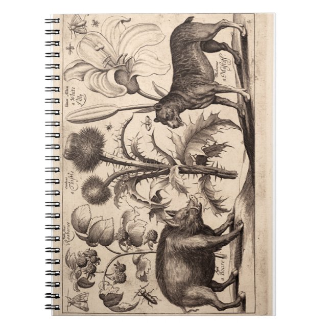 Boar och Mastiff Anteckningsbok (Framsidan)