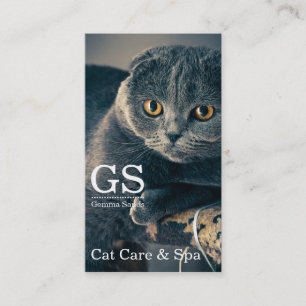 Boarding and spa (cat Care Pet Boarding) (SDA) Visitkort