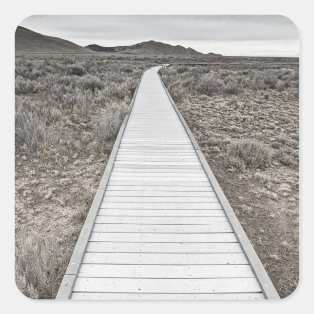 Boardpromenad genom öknen fyrkantigt klistermärke (Framsida)