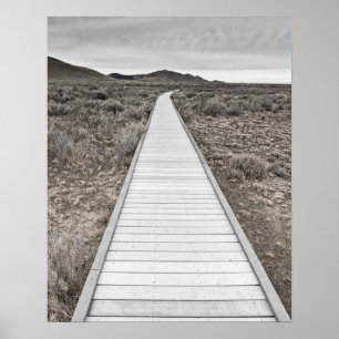 Boardpromenad genom öknen poster
