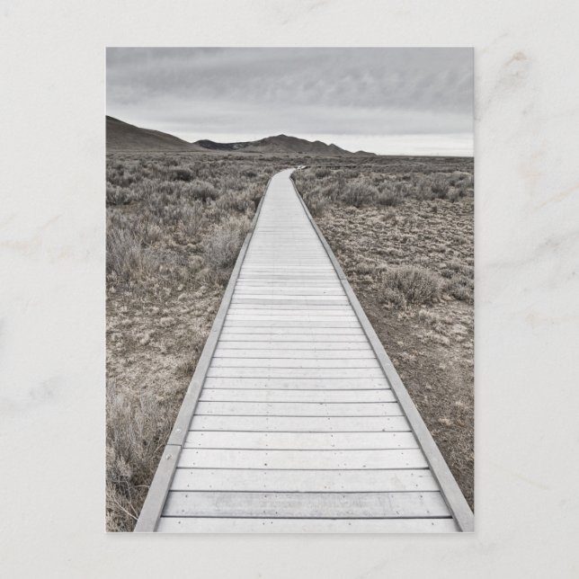 Boardpromenad genom öknen vykort (Framsida)